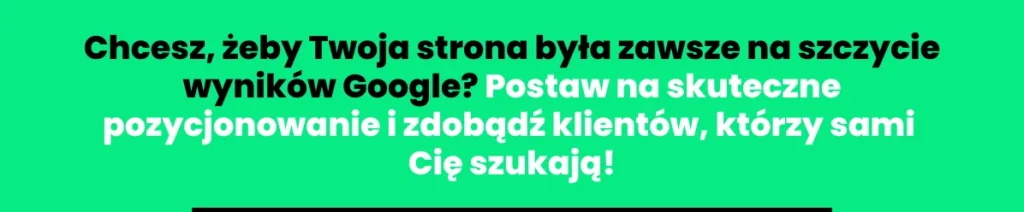 pozycjonowanie-stron2