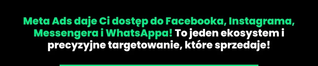 reklamy-meta-ads-facebook-ads3