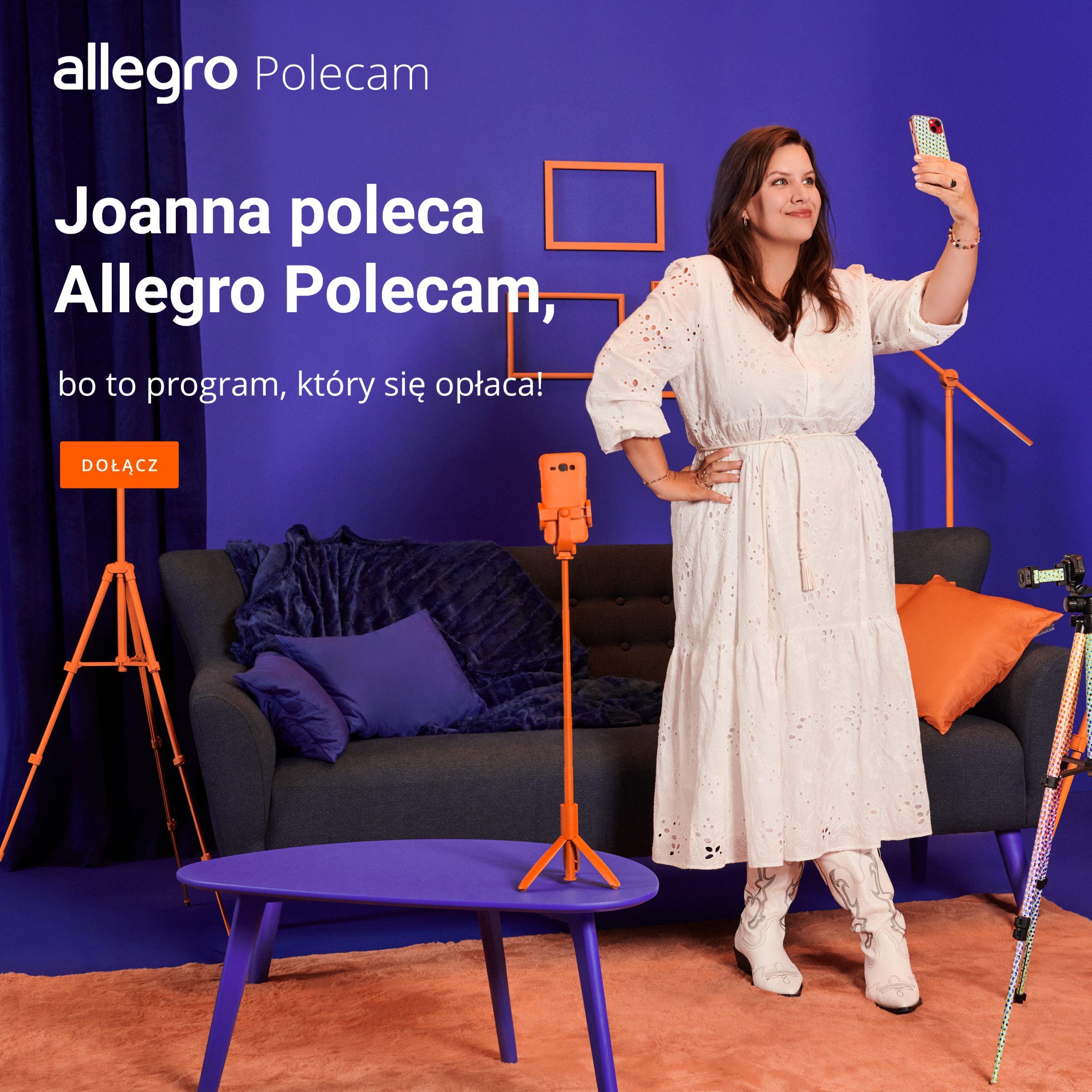 Marketing internetowy platform zakupowych Allegro