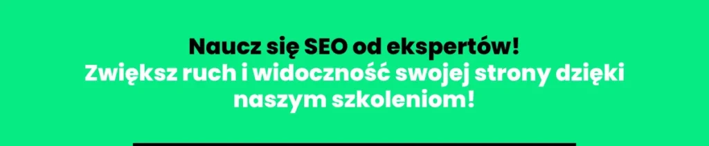 szkolenia-seo2