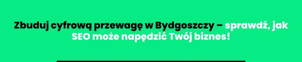 pozycjonowanie-stron-bydgoszcz1