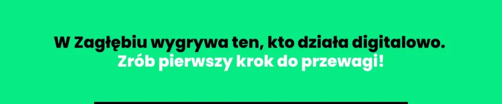 pozycjonowanie-stron-sosnowiec1