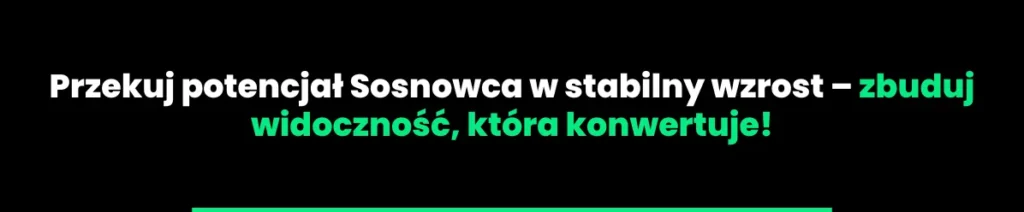 pozycjonowanie-stron-sosnowiec2